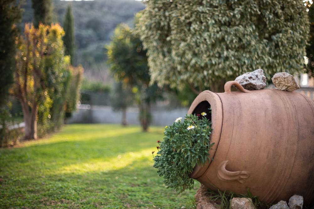 Photo of Outdoor in Vatolakkos