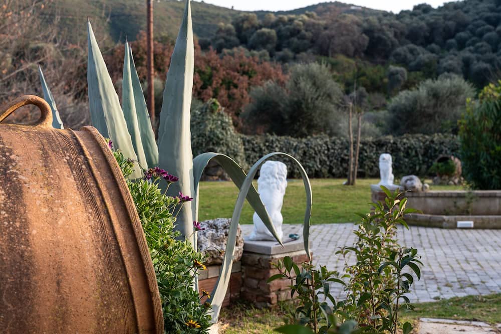 Photo of Outdoor in Vatolakkos