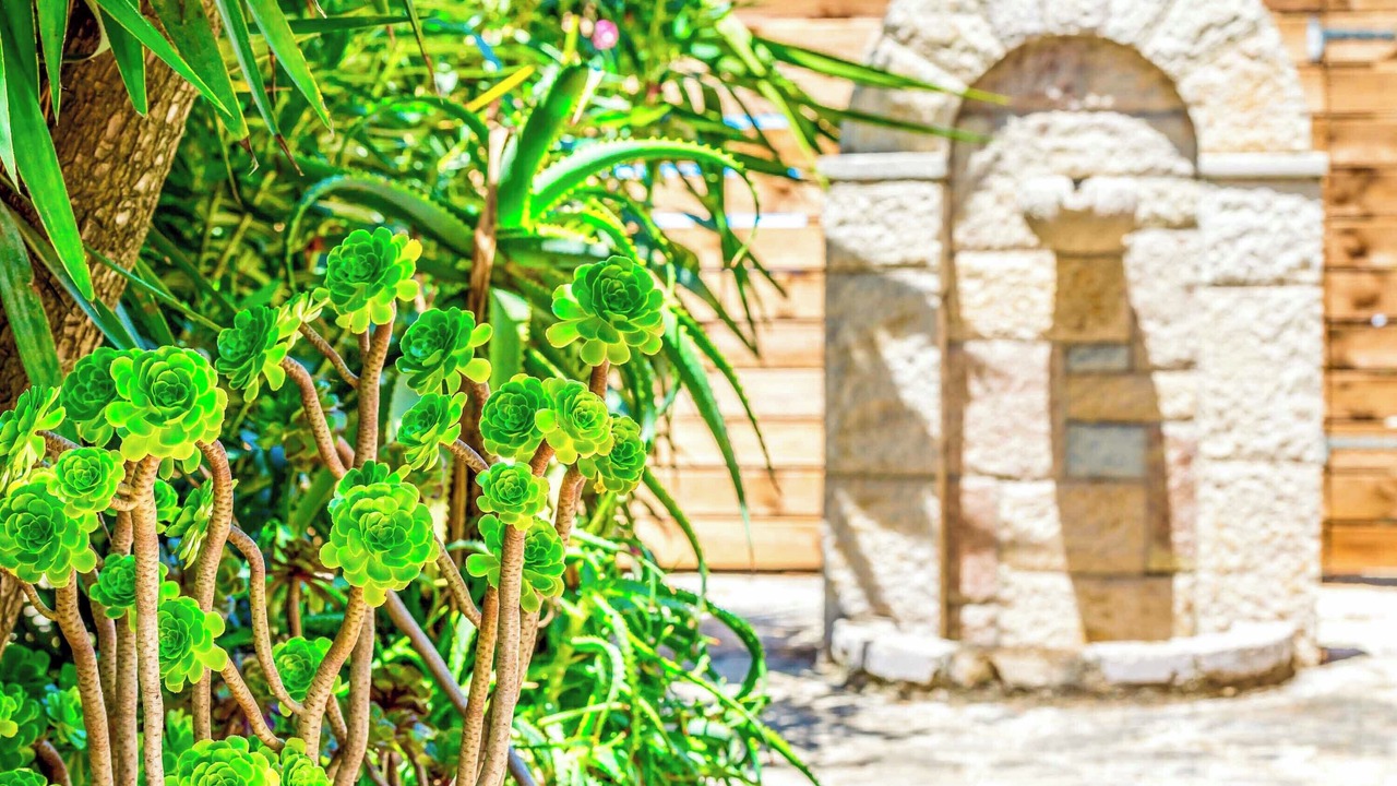 Photo of Outdoor in Pigadhakia