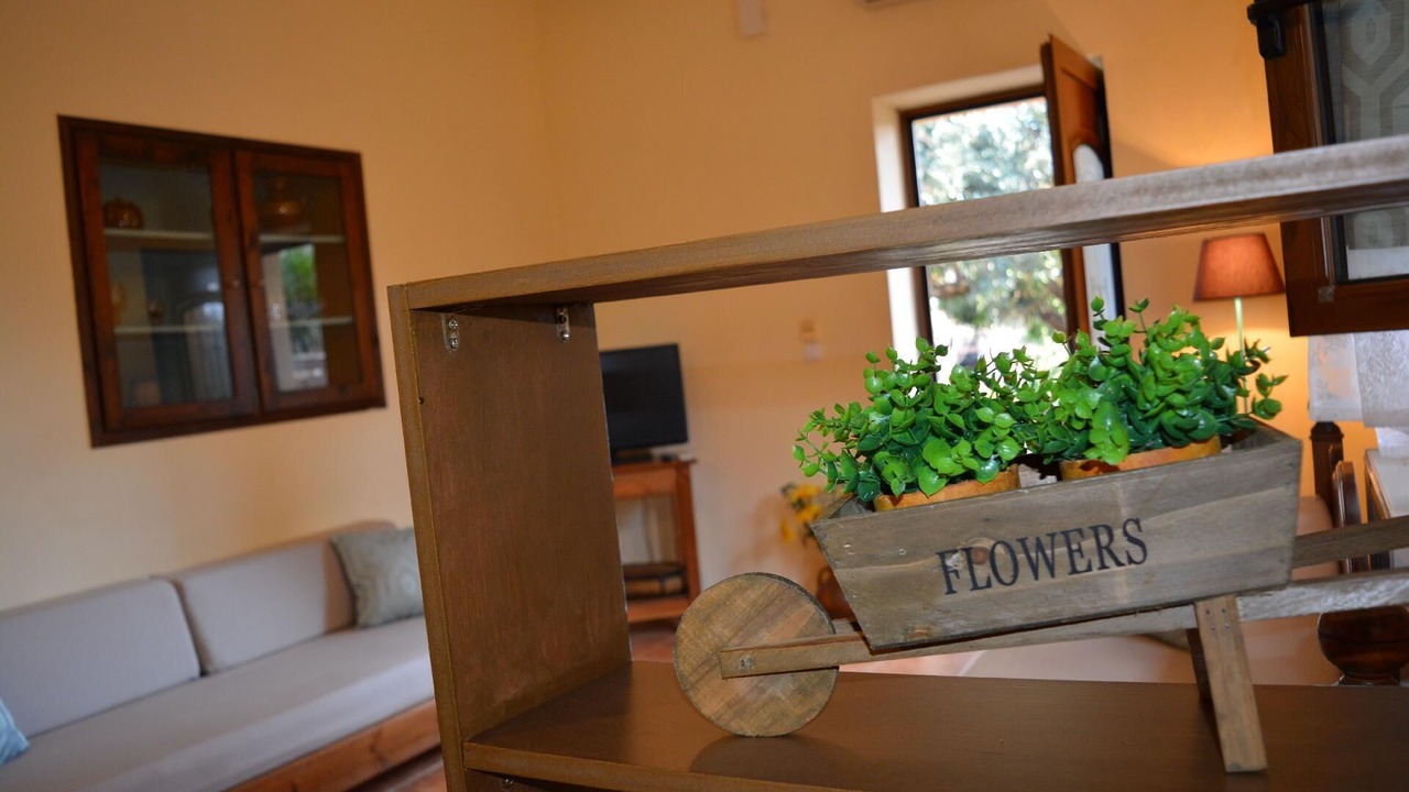 Photo of Livingroom in Vamos