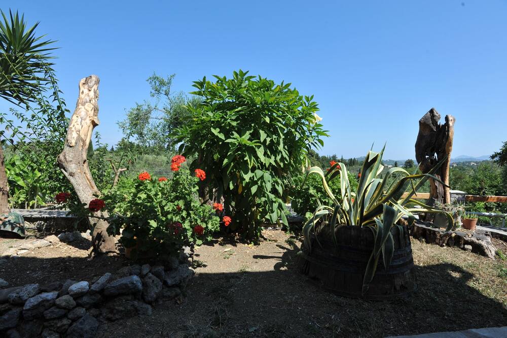 Photo of Outdoor in Kato Korakiana