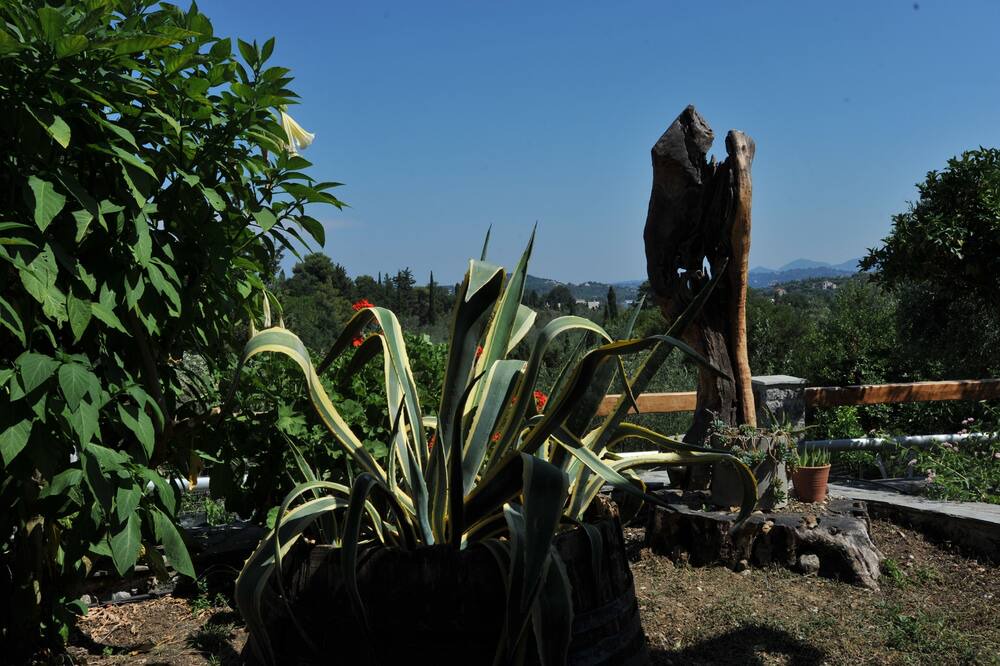 Photo of Outdoor in Kato Korakiana