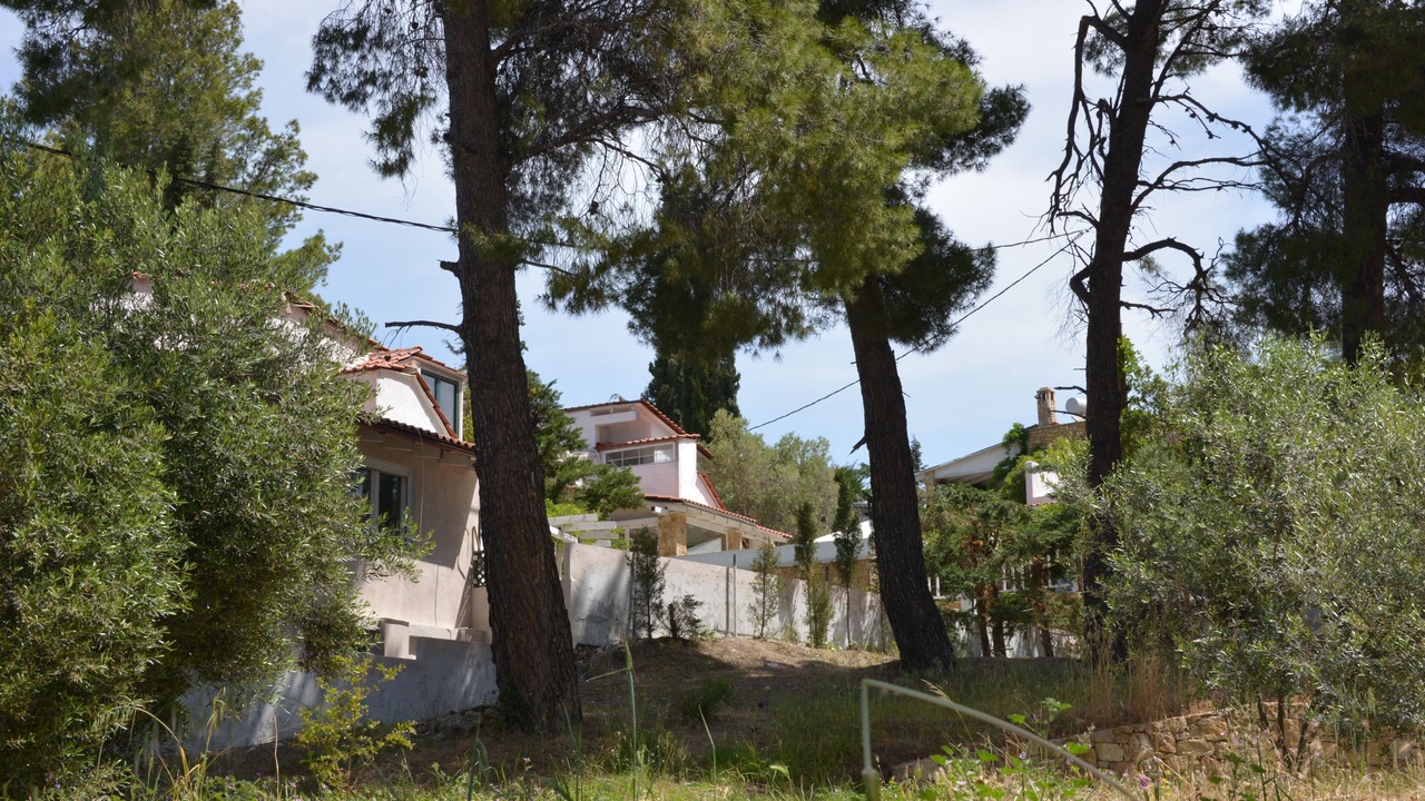 Photo of Outdoor in Elia Nikitis