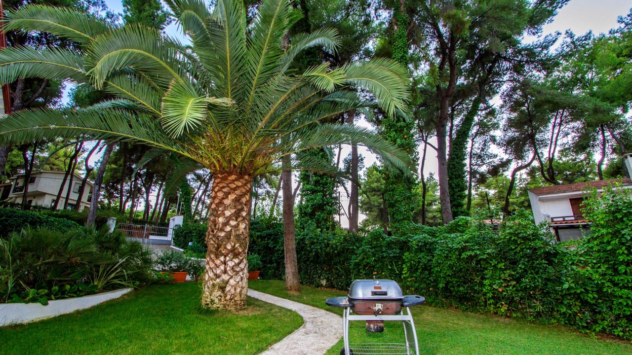 Photo of Outdoor in Sane