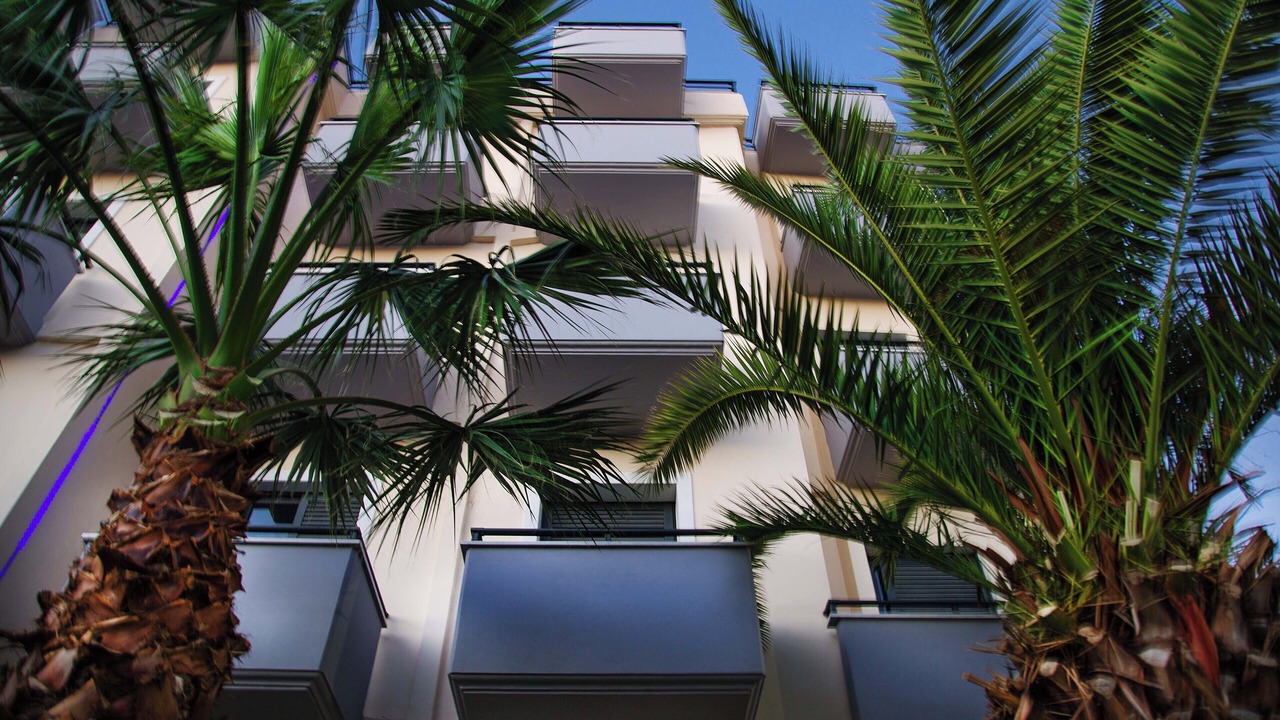 Photo of Outdoor in Athens
