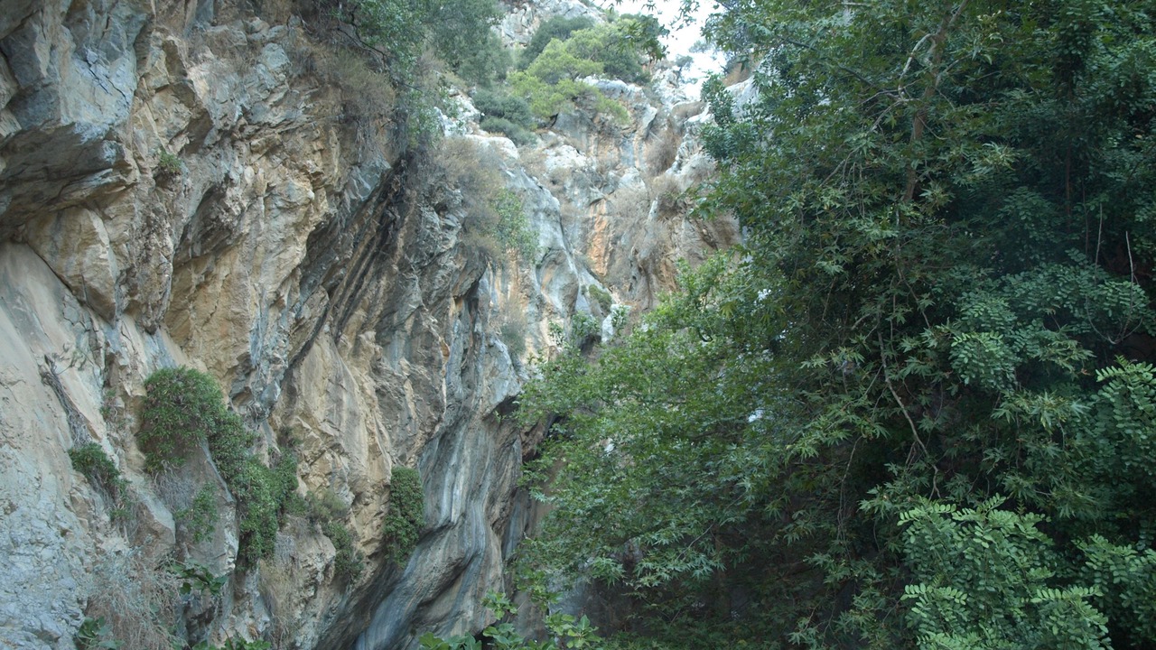 Photo of Outdoor in Myrtos