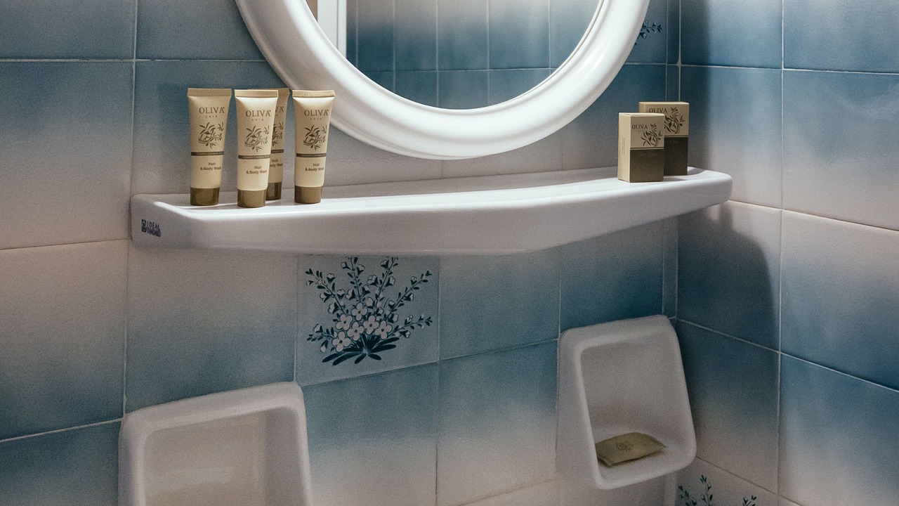 Photo of Bathroom in Nea Kios