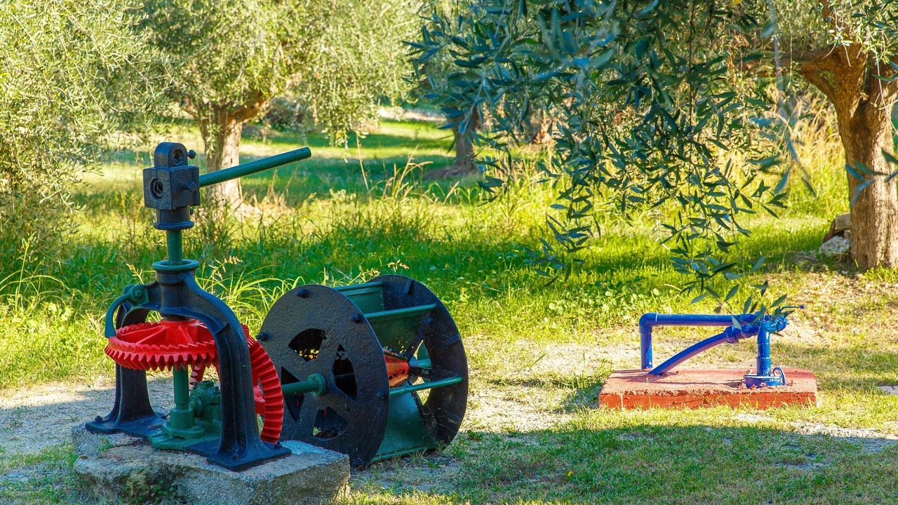 Photo of Outdoor in Theologos