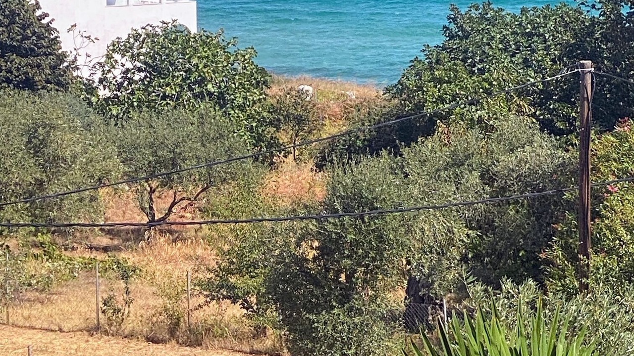 Photo of Others in Kinyra