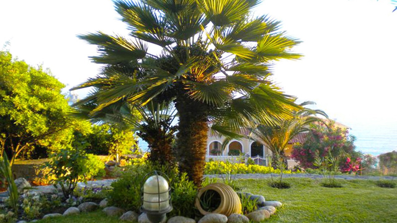 Photo of Patio Balcony in Agios Gordios