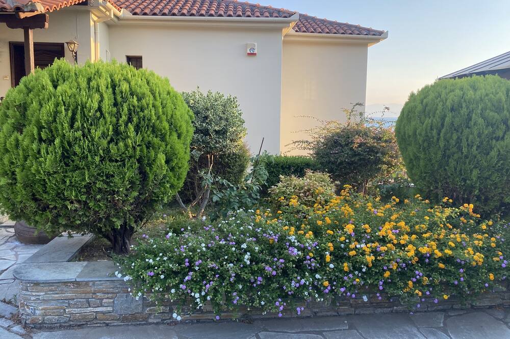 Photo of Outdoor in Lefokastron