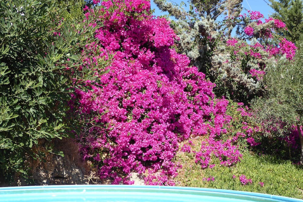 Photo of Outdoor in Faistos