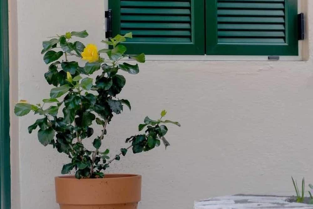 Photo of Outdoor in Longos