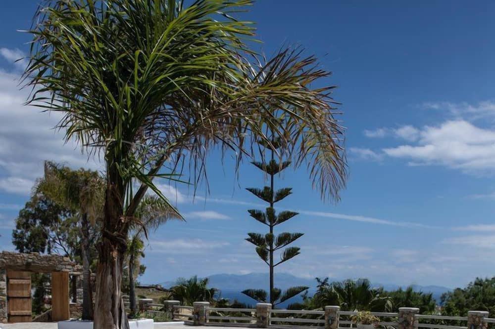 Photo of Outdoor in Plintri