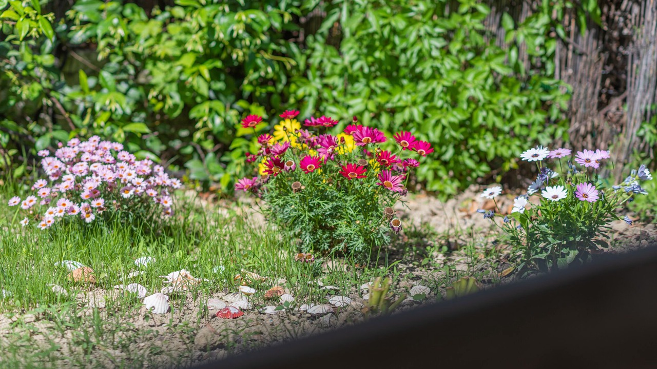 Photo of Outdoor in Agios Gordios