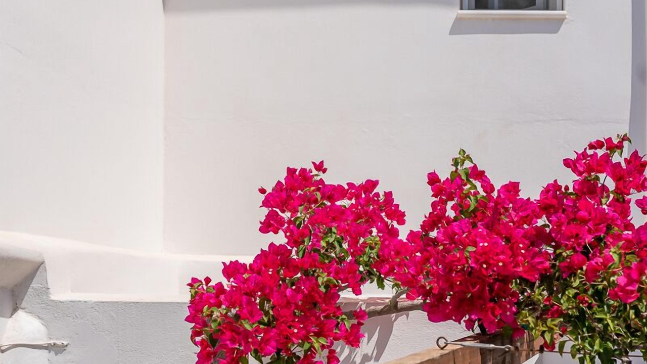 Photo of Outdoor in Naxos