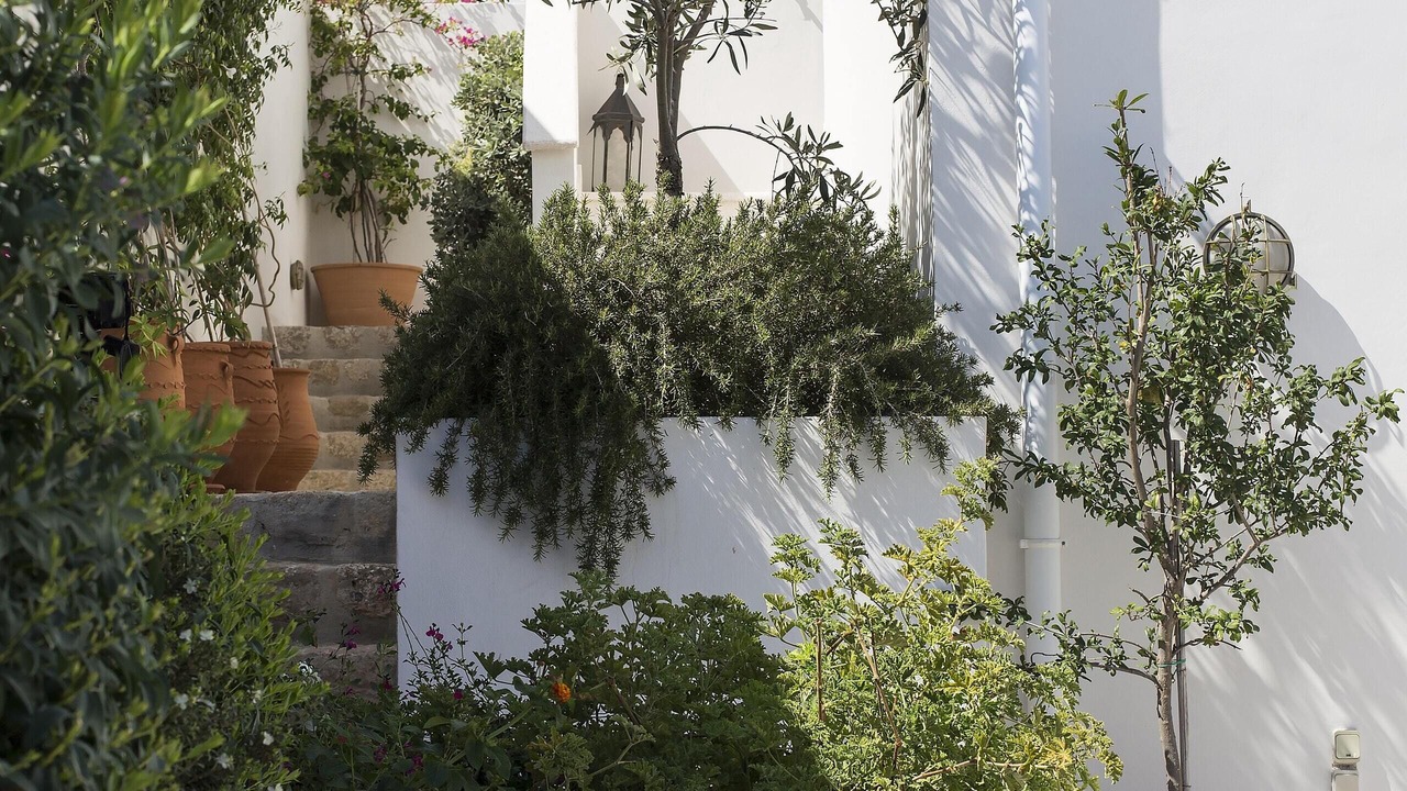 Photo of Outdoor in Spetses