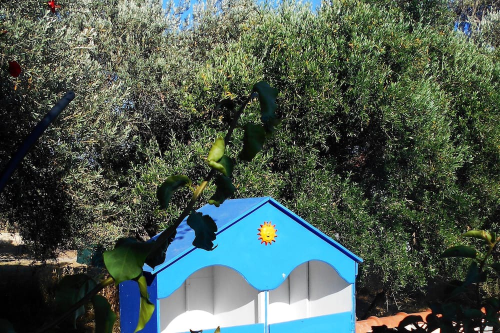 Photo of Outdoor in Marathokampos