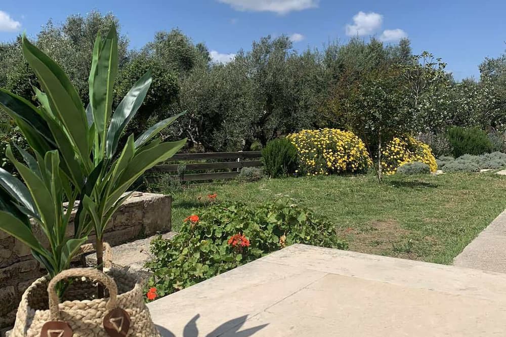 Photo of Outdoor in Tsilivi