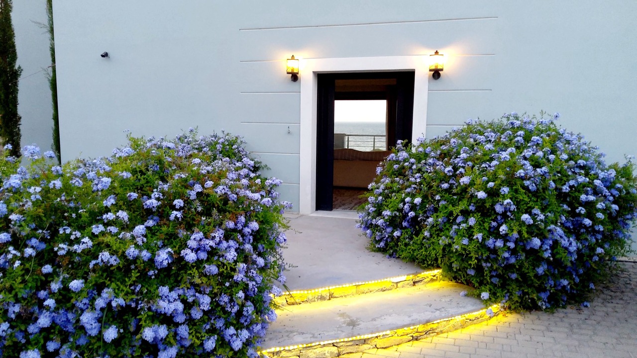 Photo of Outdoor in Samos
