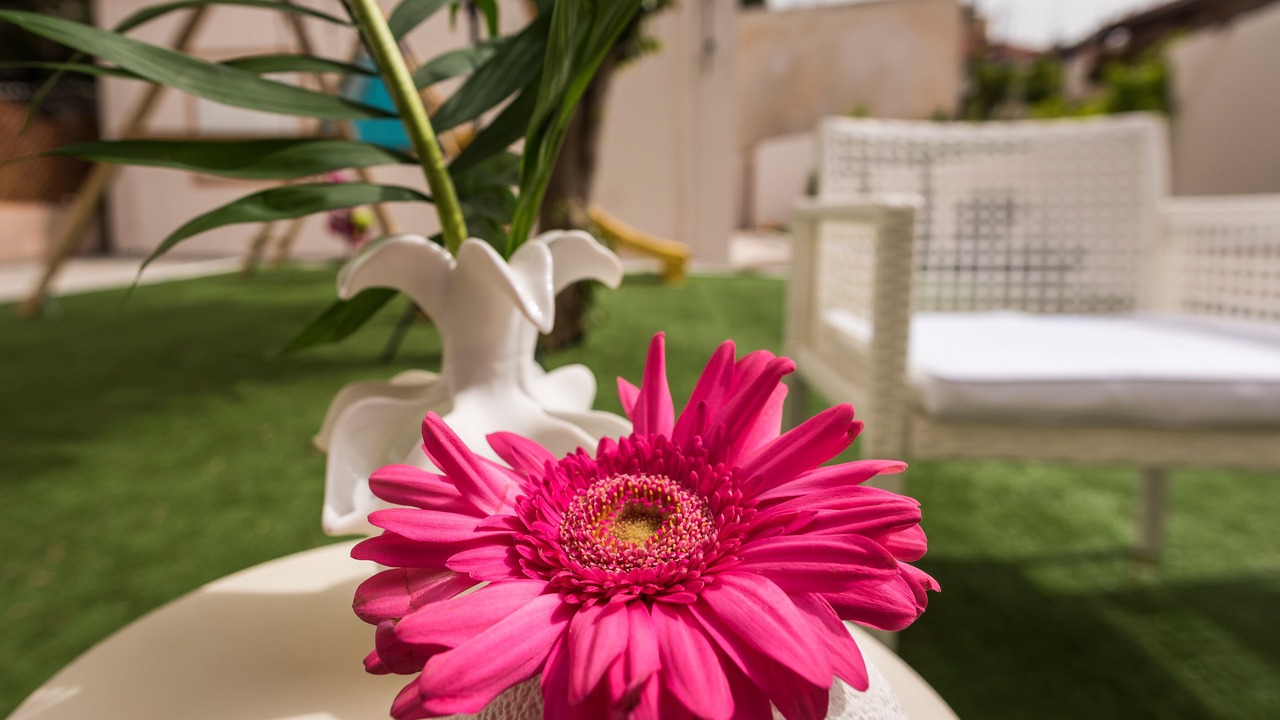 Photo of Outdoor in Nea Chora