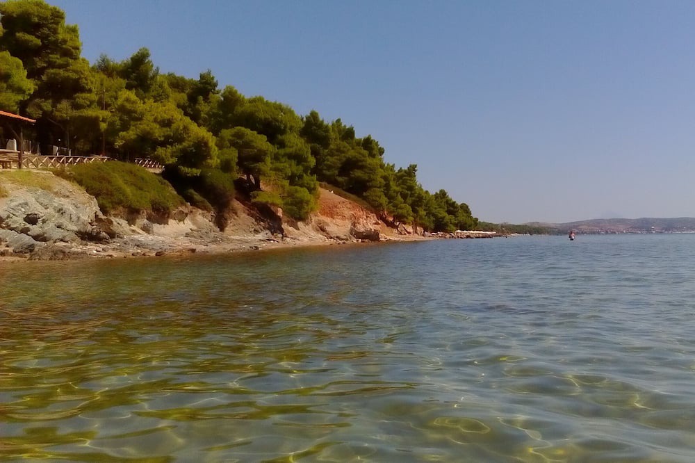 Photo of Others in Metamorfosi