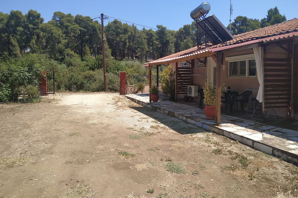 Photo of Others in Metamorfosi