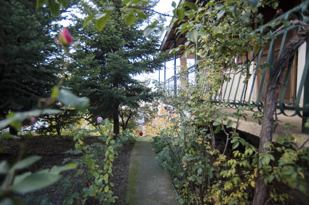 Photo of Outdoor in Manna
