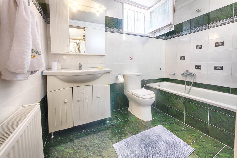 Photo of Bathroom in Afionas