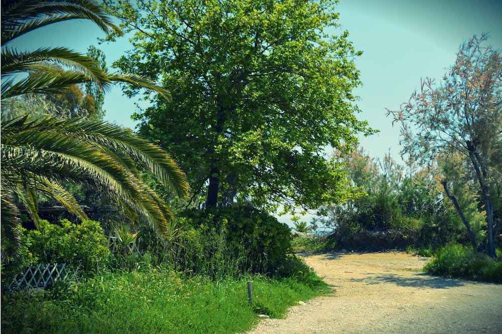 Photo of Others in Artemida