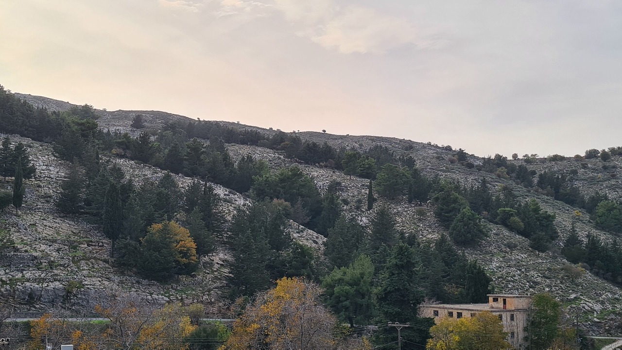Photo of Outdoor in Anogia