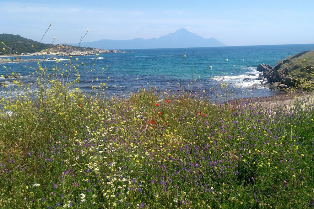 Photo of Outdoor in Sarti