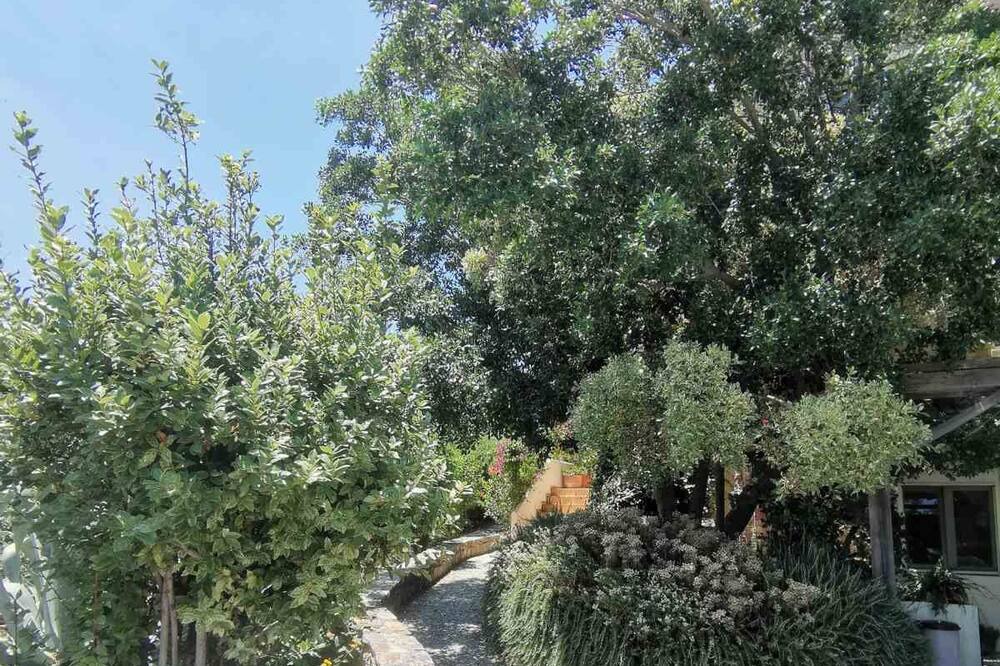 Photo of Outdoor in Archanes