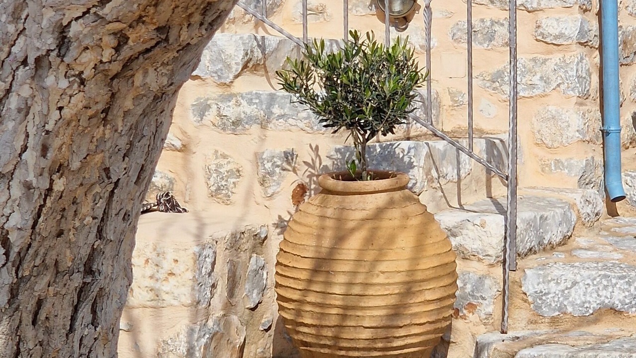 Photo of Outdoor in Omales