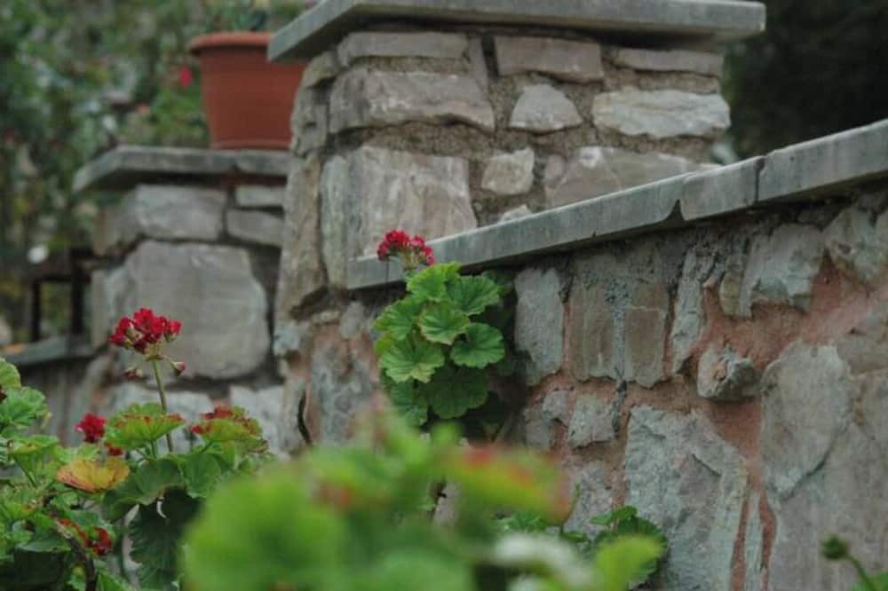 Photo of Outdoor in Sitia