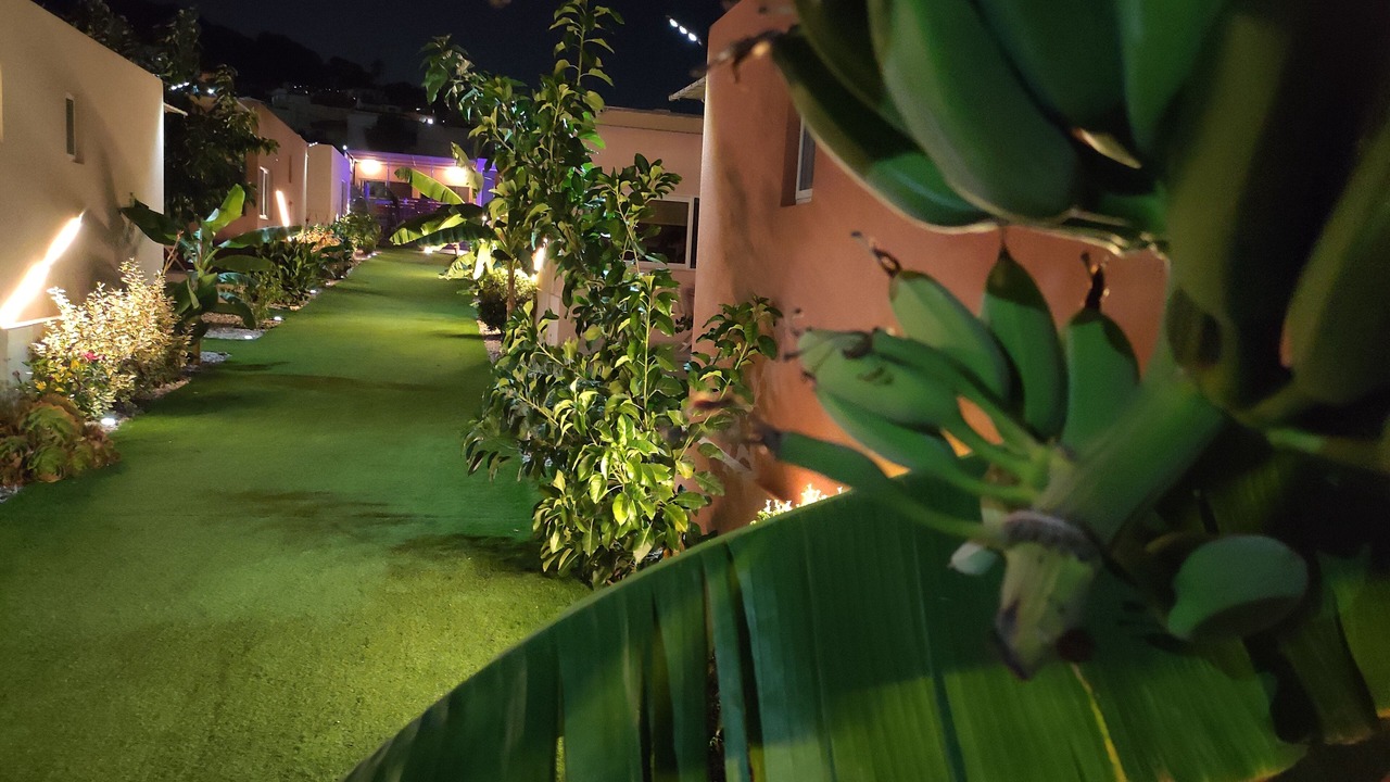 Photo of Outdoor in Spata-Artemida