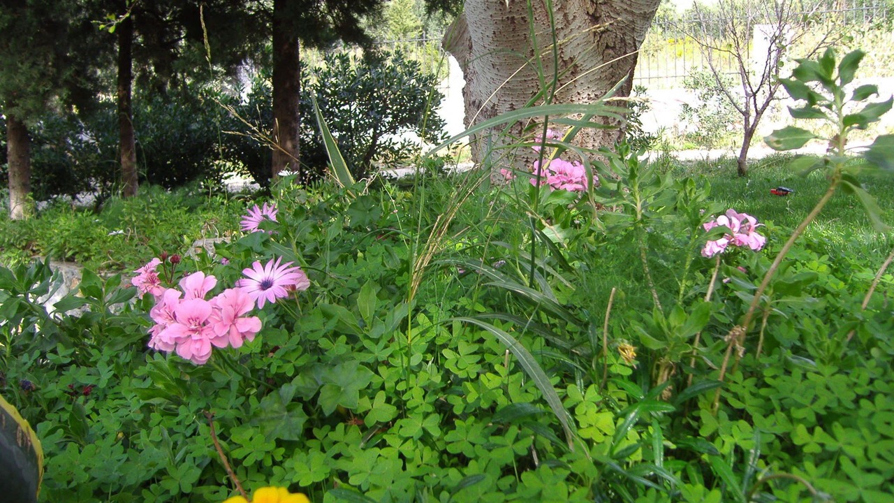 Photo of Outdoor in Lefkogeia