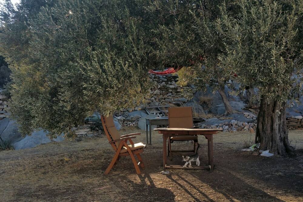 Photo of Outdoor in Naxos