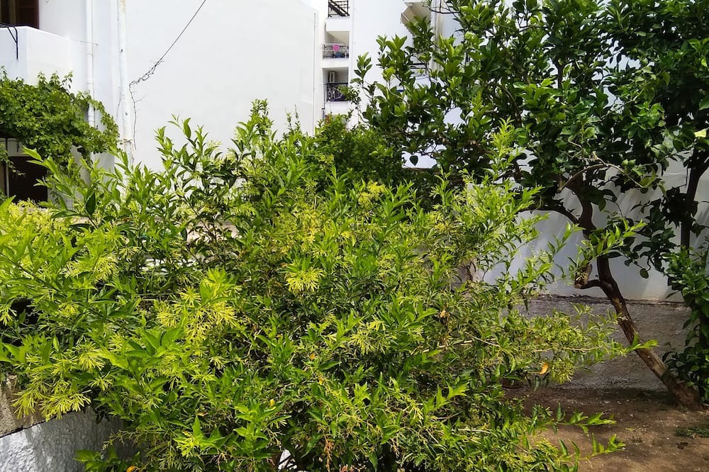 Photo of Outdoor in Tinos Town