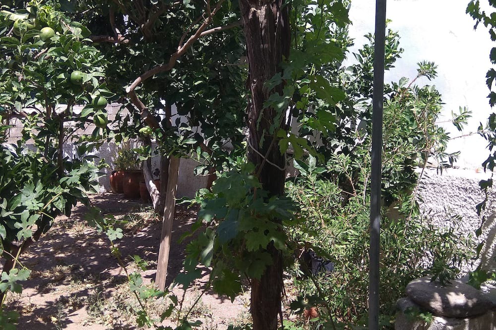 Photo of Outdoor in Tinos Town