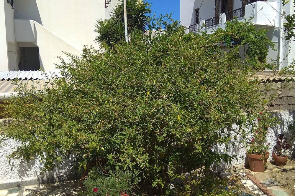 Photo of Outdoor in Tinos Town