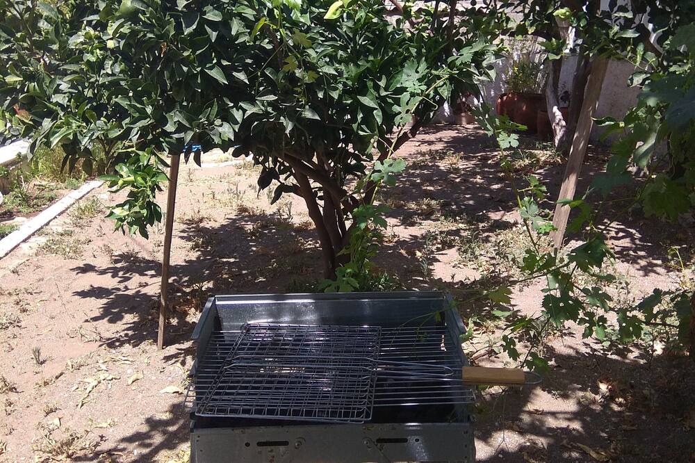Photo of Outdoor in Tinos Town