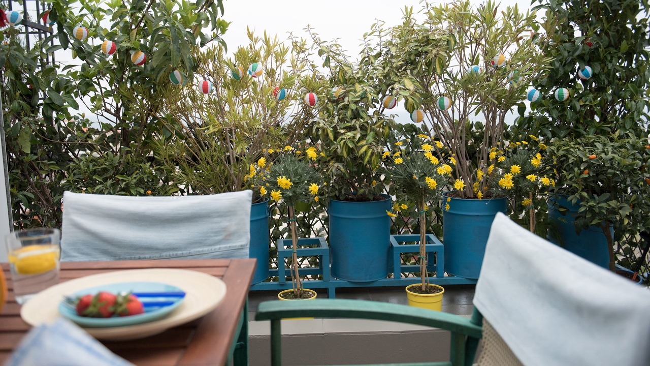 Photo of Patio Balcony in Kallikratia