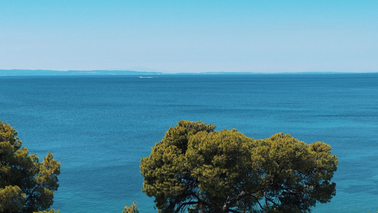 Photo of Others in Elia Nikitis