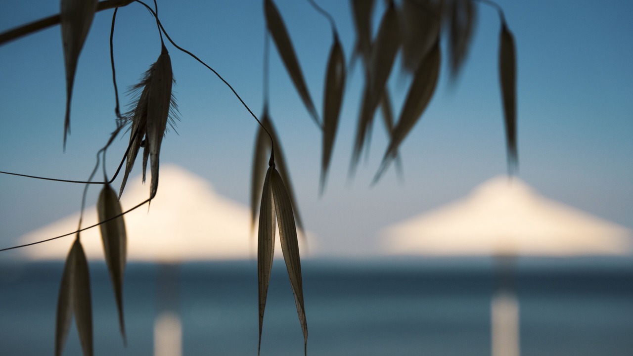 Photo of Others in Elia Nikitis