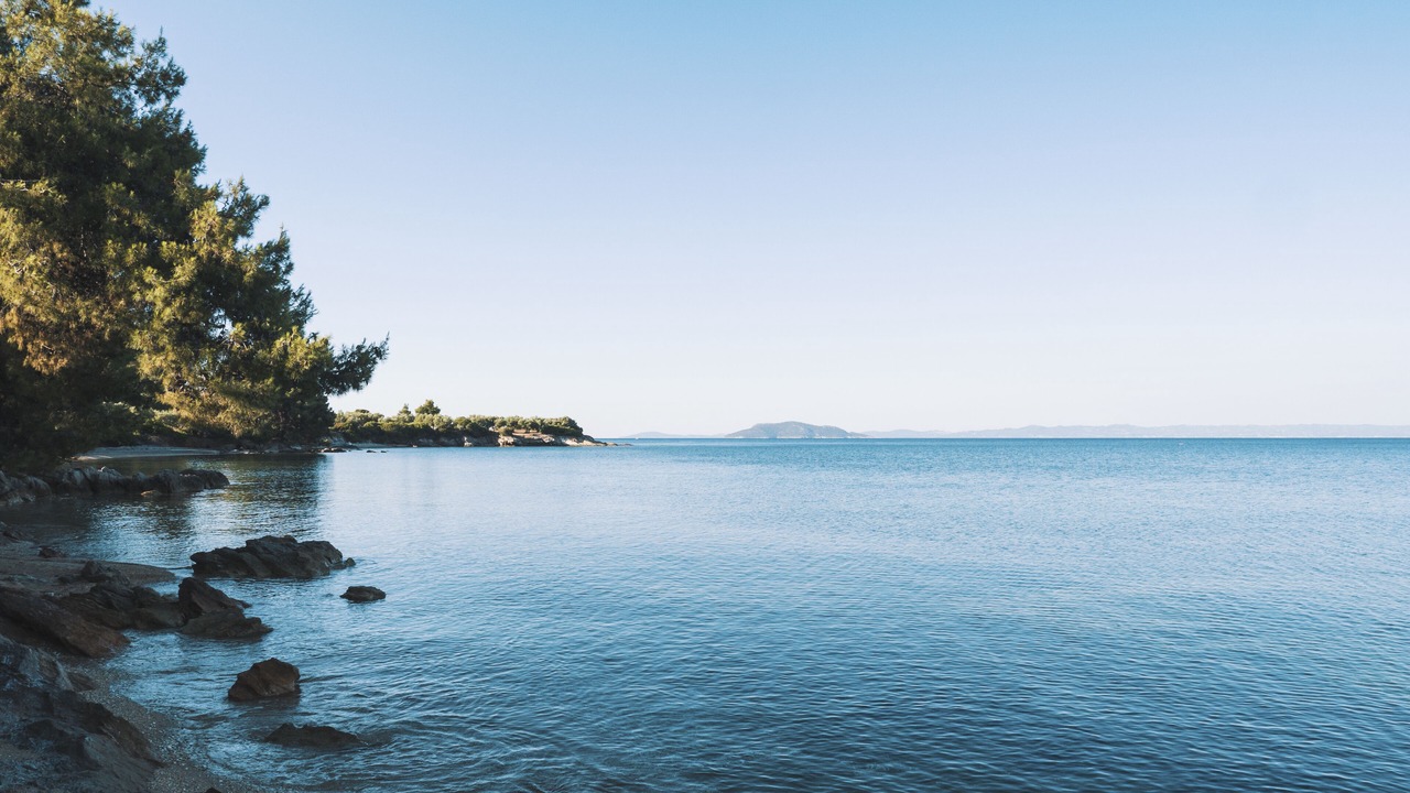 Photo of Others in Elia Nikitis
