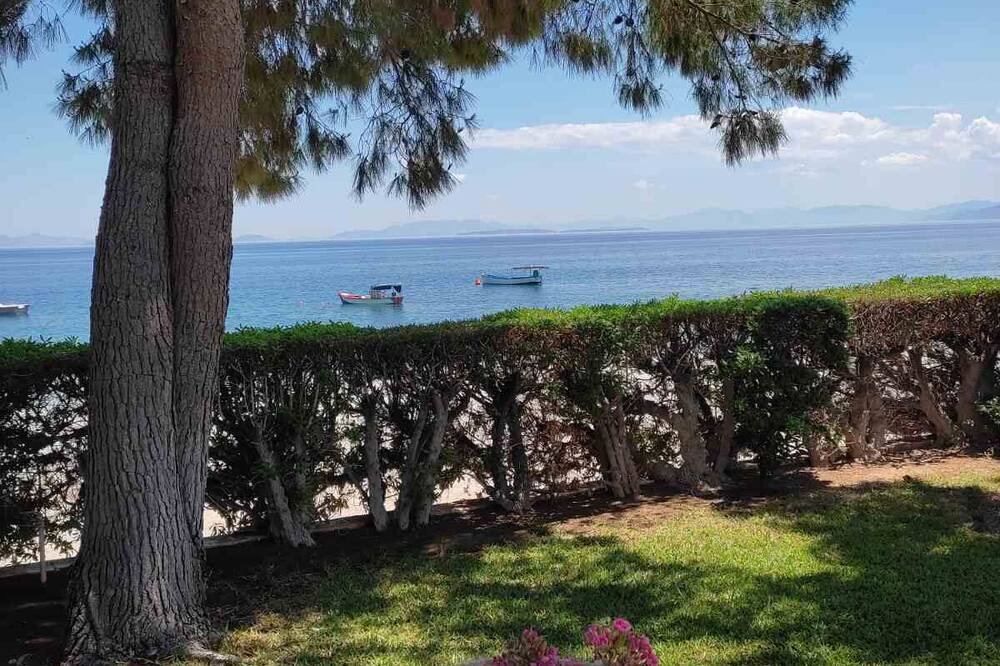 Photo of Outdoor in Kineta