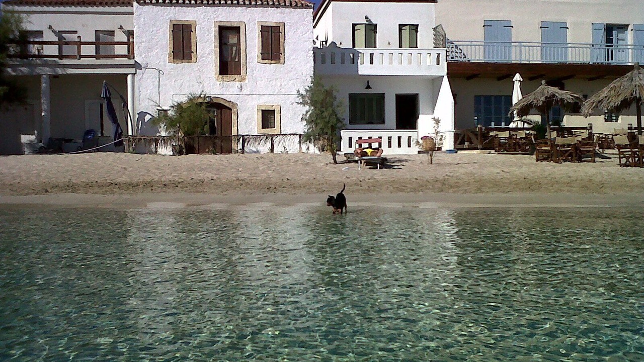 Photo of Outdoor in Diakofti
