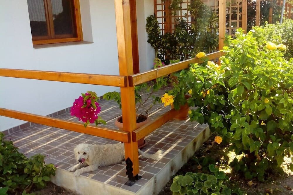 Photo of Outdoor in Ikaria