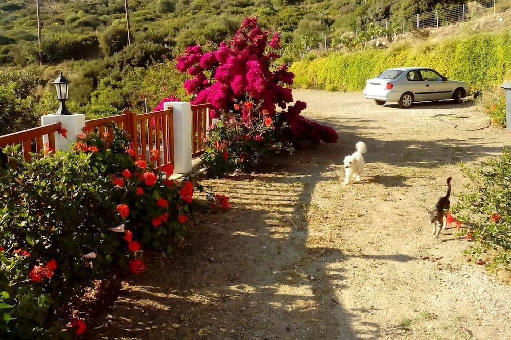Photo of Outdoor in Ikaria